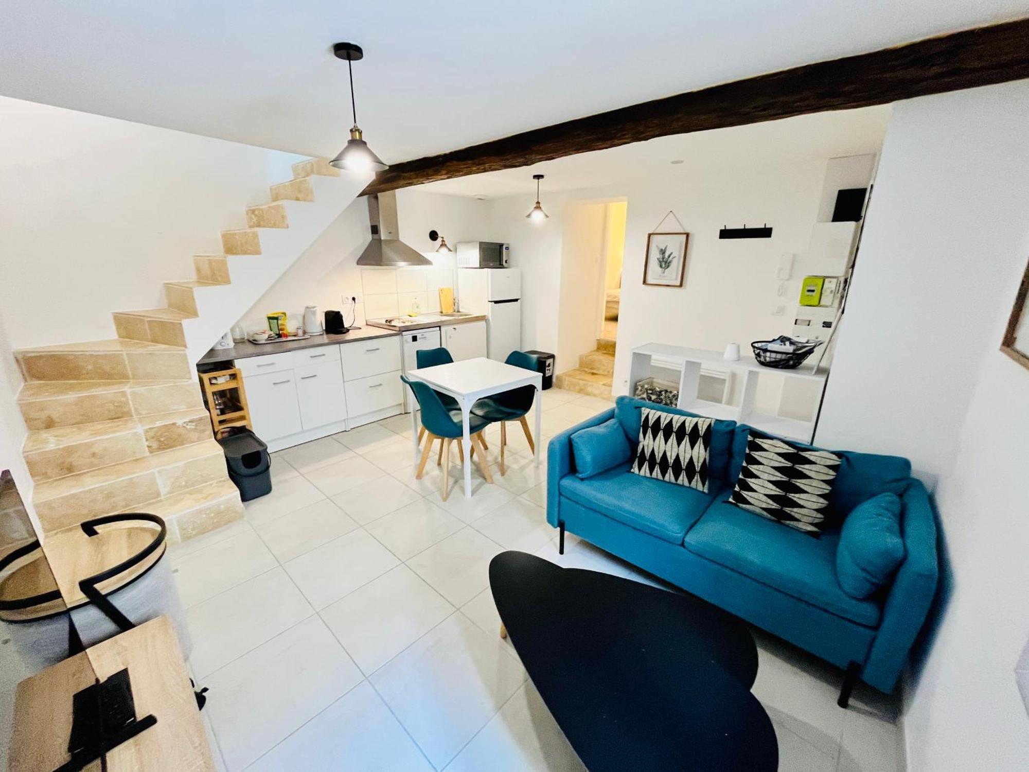 2 Suites, Cour Privee, Climatisation, Le Nid De Blois Vienne Екстер'єр фото