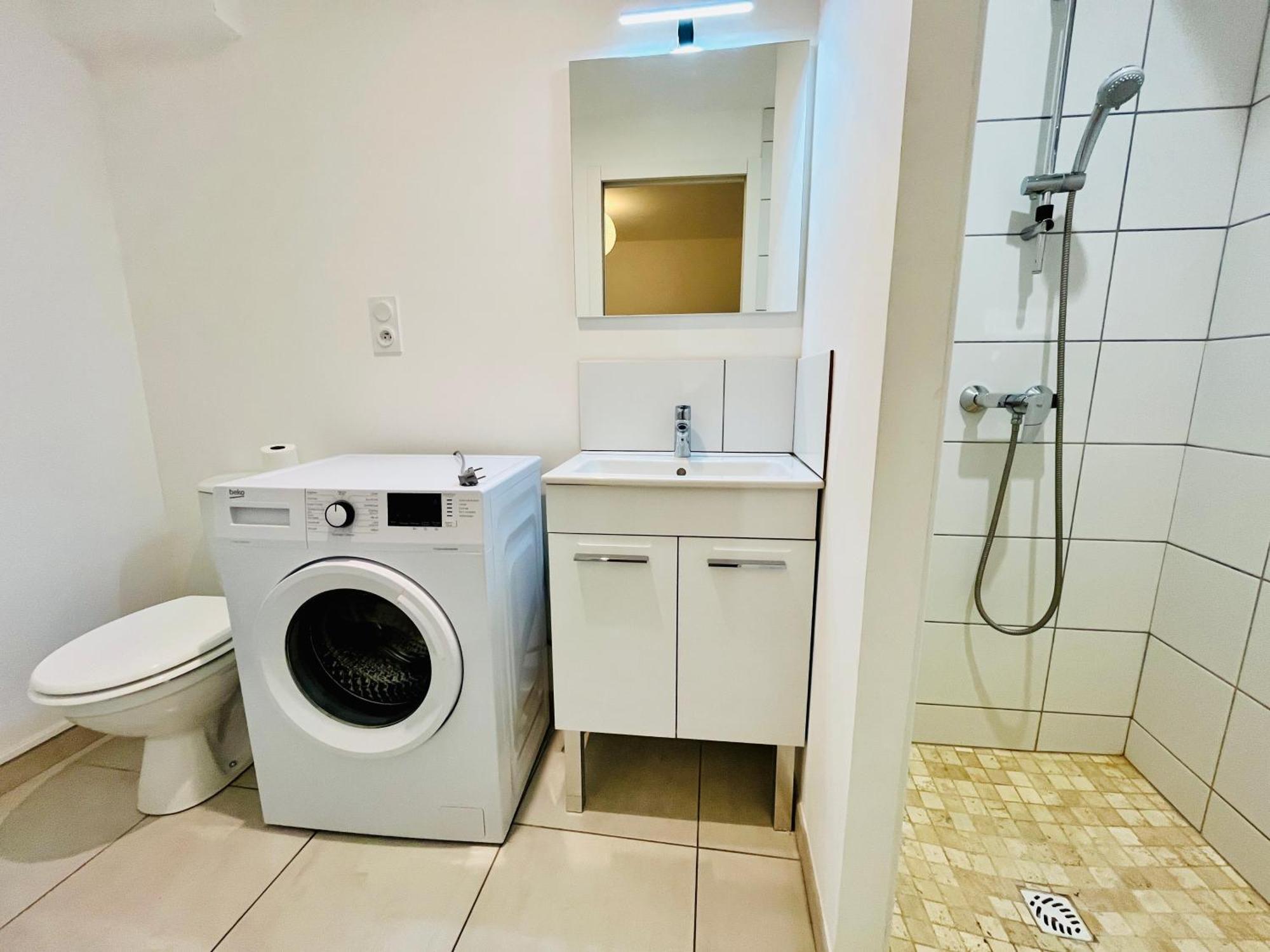 2 Suites, Cour Privee, Climatisation, Le Nid De Blois Vienne Екстер'єр фото